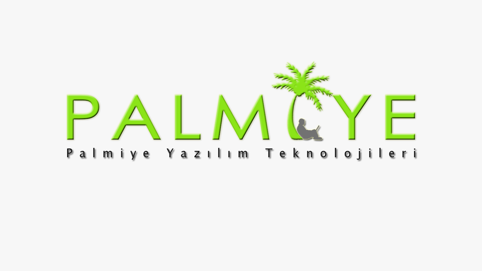 Palmiye Information Technologies Industry and Trade Limited Company